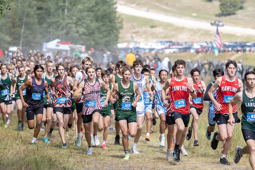 %_tempFileName1M6A8954%