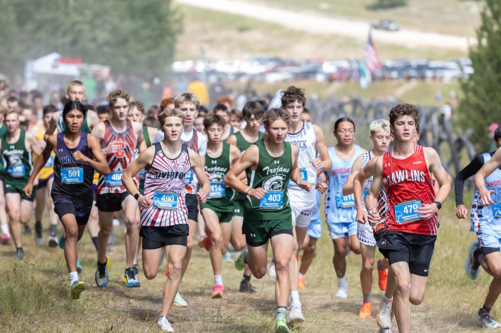 %_tempFileName1M6A8959%