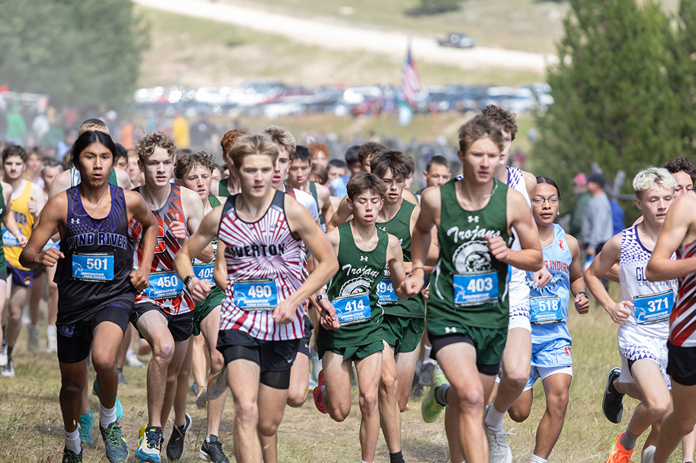 %_tempFileName1M6A8968%