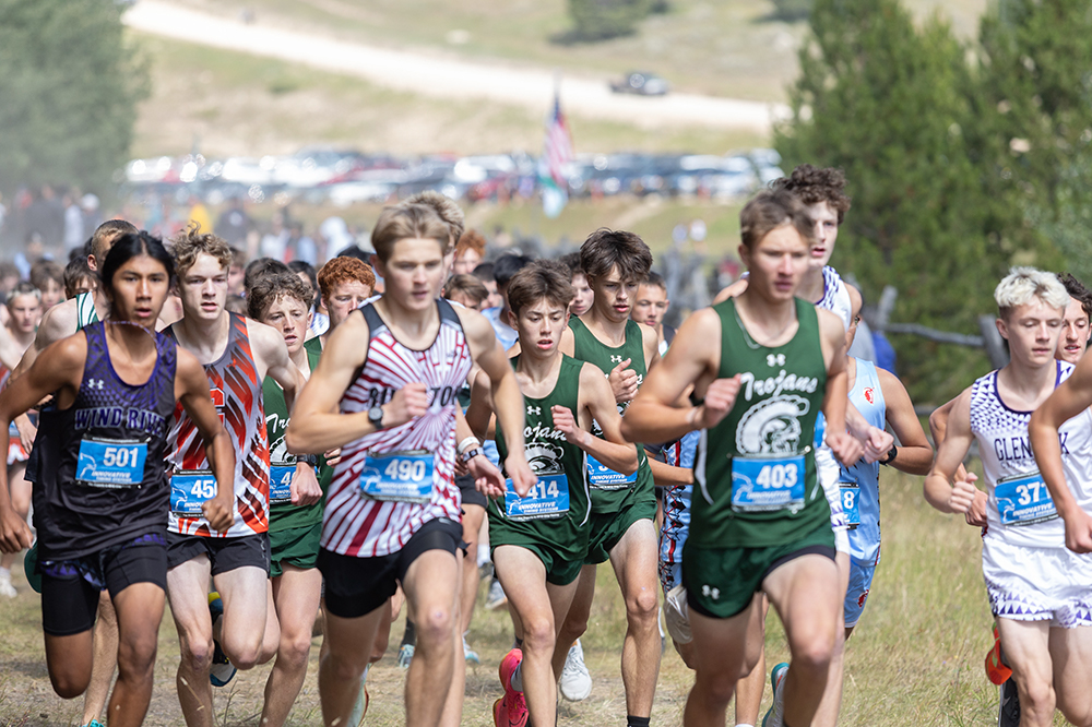 %_tempFileName1M6A8971%