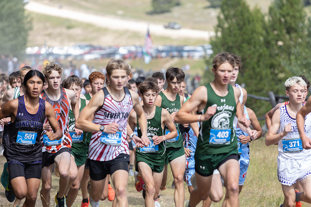 %_tempFileName1M6A8972%