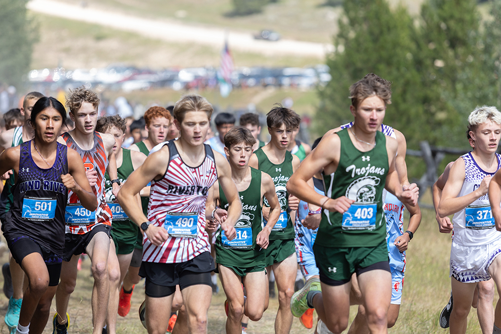 %_tempFileName1M6A8973%