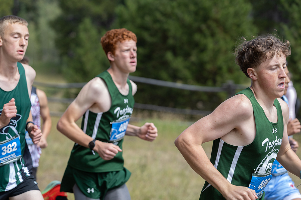 %_tempFileName1M6A8992%