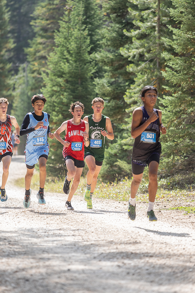 %_tempFileName1M6A9045%