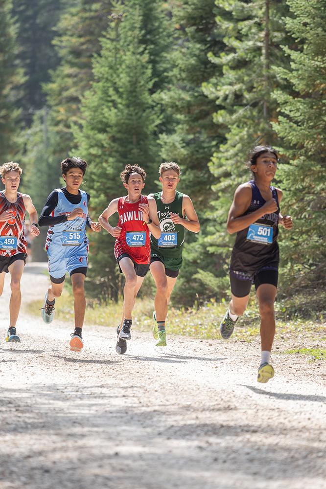 %_tempFileName1M6A9046%