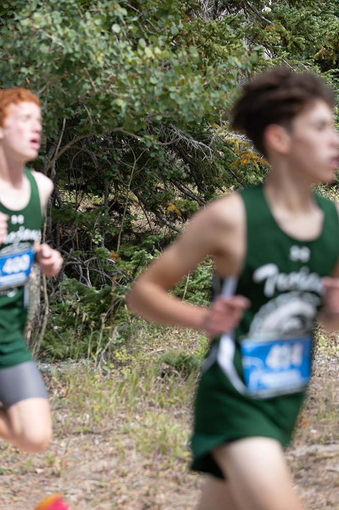 %_tempFileName1M6A9284%