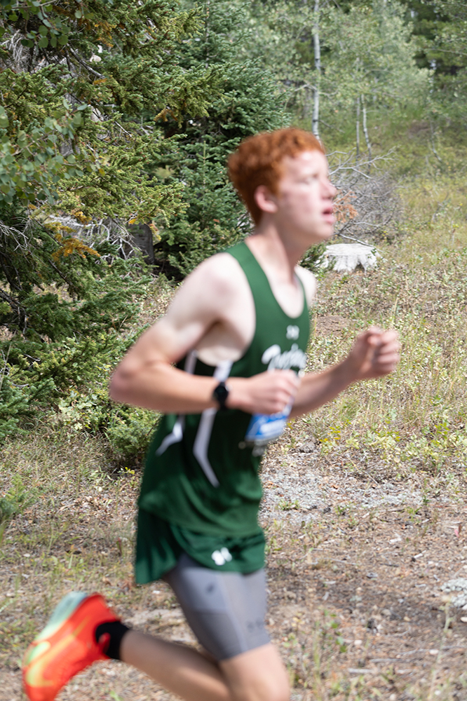 %_tempFileName1M6A9287%