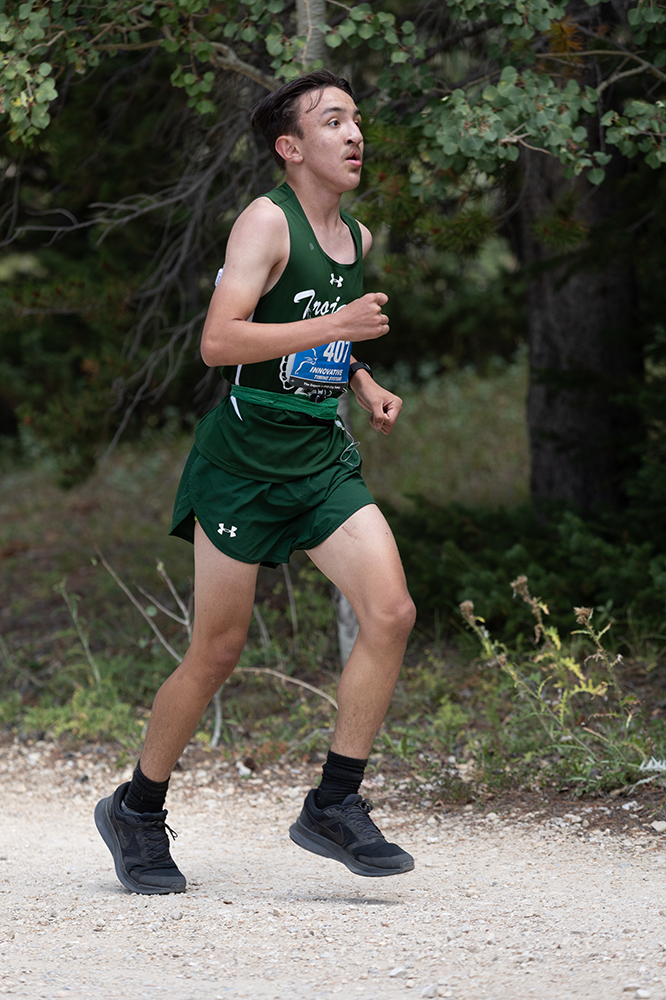 %_tempFileName1M6A9491%