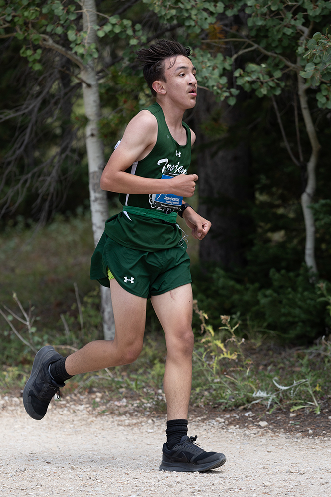 %_tempFileName1M6A9493%