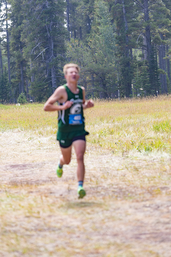 %_tempFileName1M6A9595%