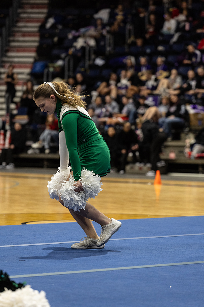 %_tempFileName1M6A1224%