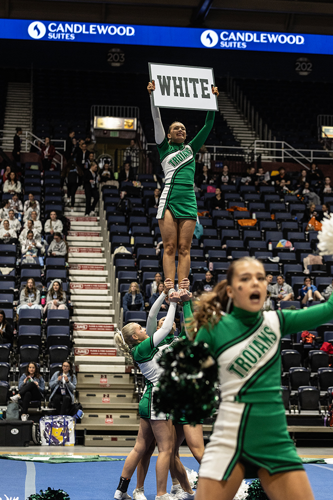 %_tempFileName1M6A1446%