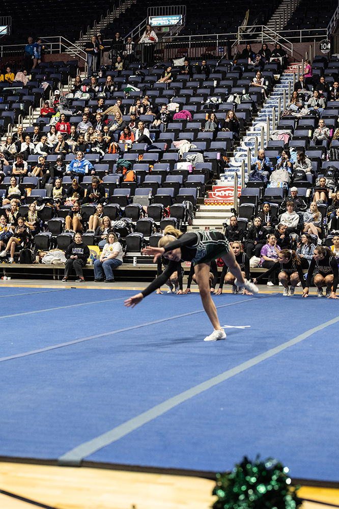 %_tempFileName1M6A2036%