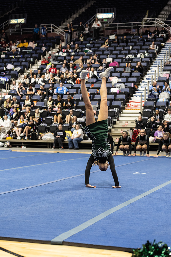 %_tempFileName1M6A2041%