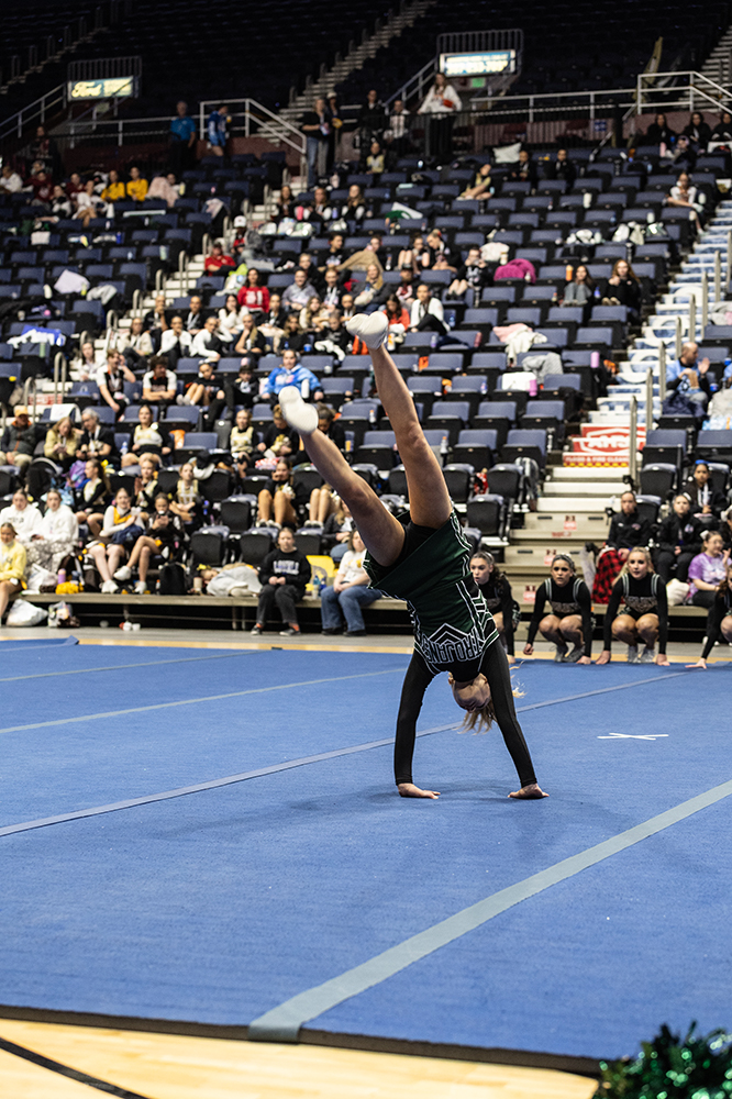 %_tempFileName1M6A2042%