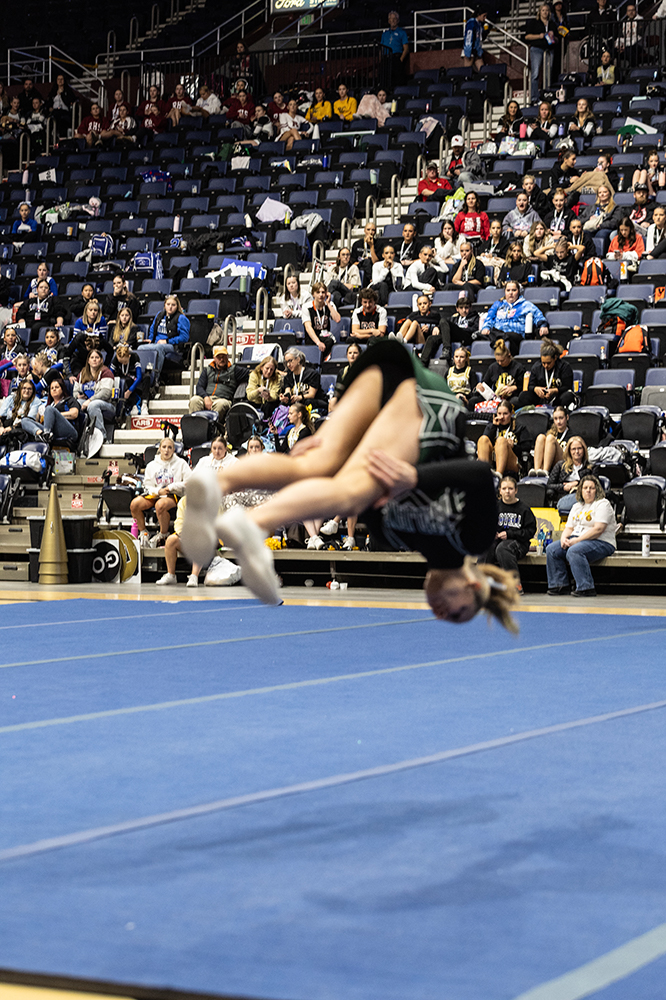 %_tempFileName1M6A2055%