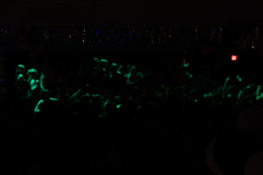 %_tempFileName1M6A8154%