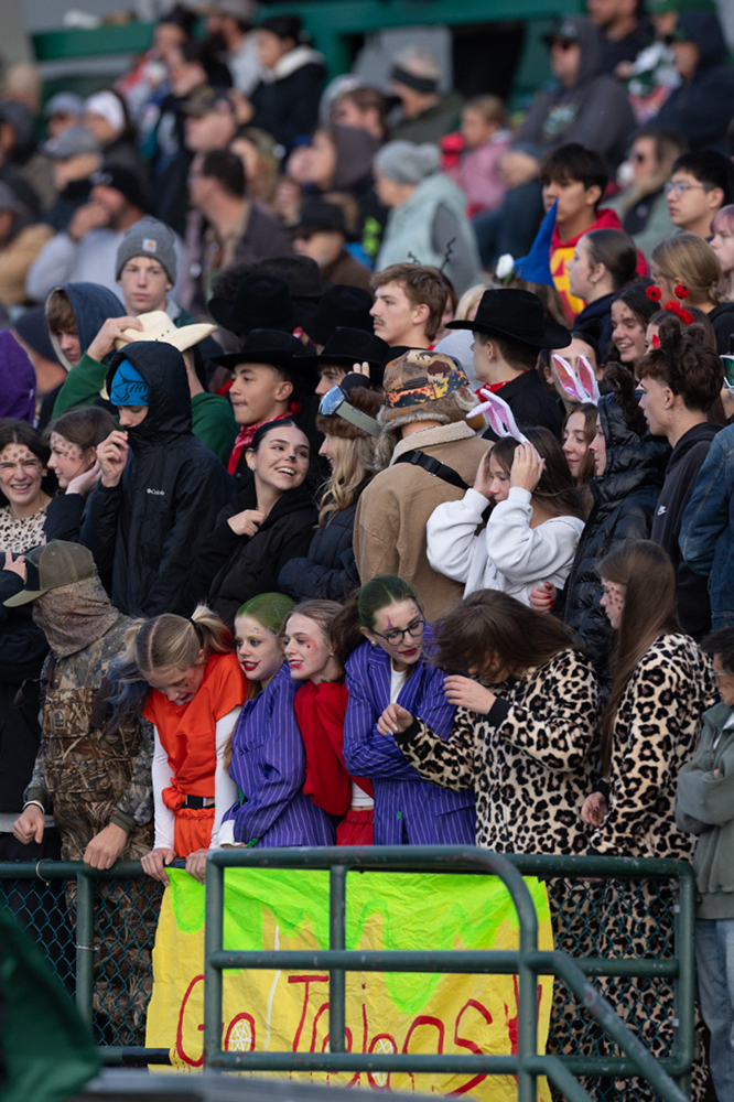 %_tempFileName1M6A3381%