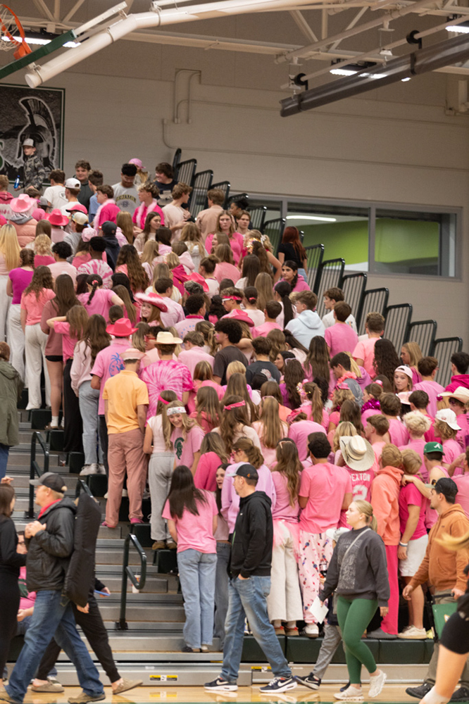 %_tempFileName1M6A8245%