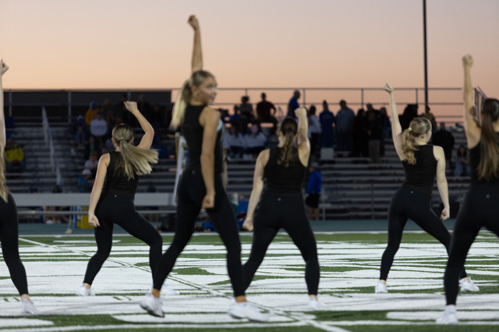 %_tempFileName1M6A5655%