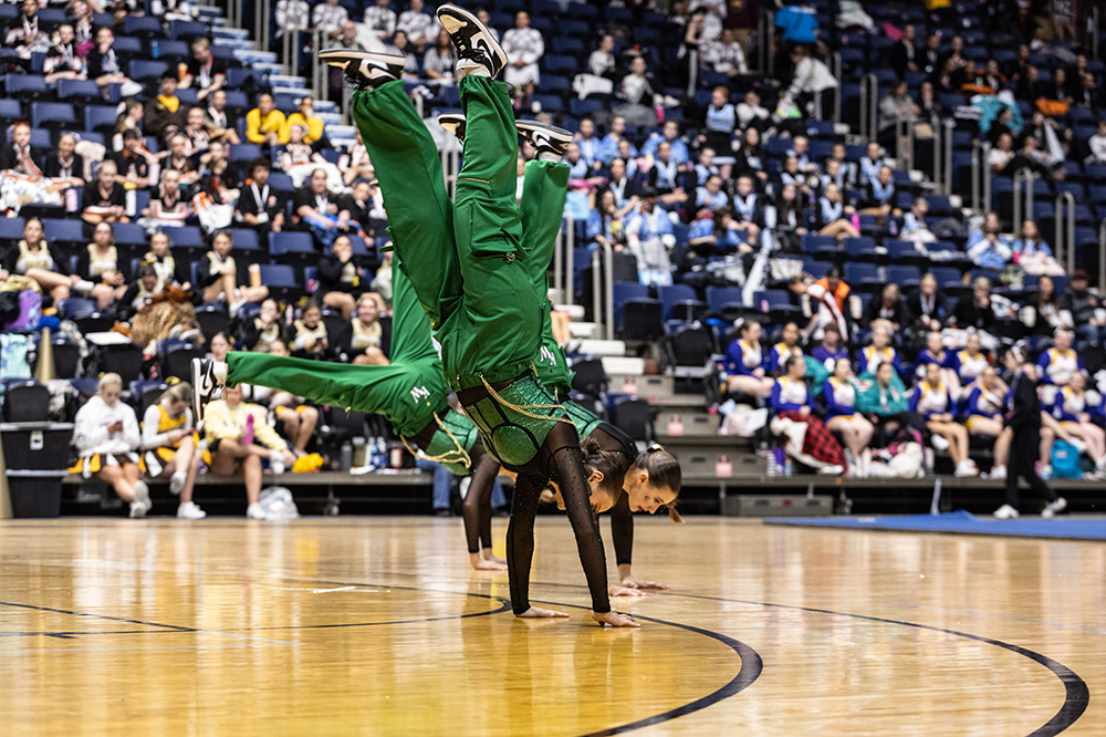 %_tempFileName1M6A0690%