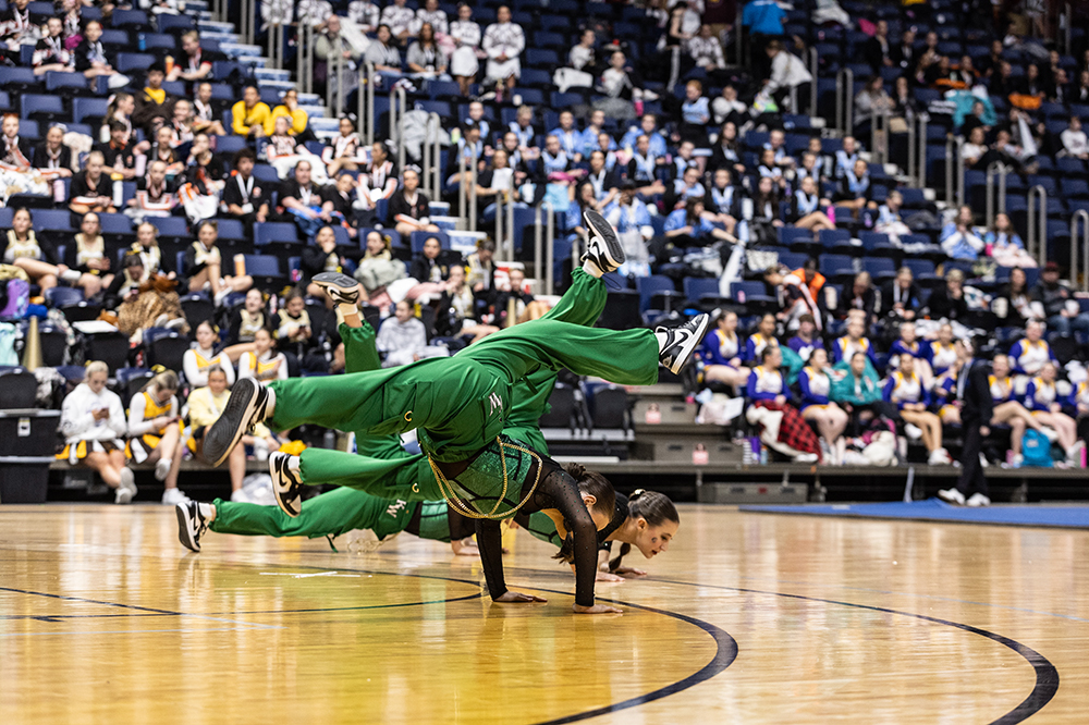 %_tempFileName1M6A0695%