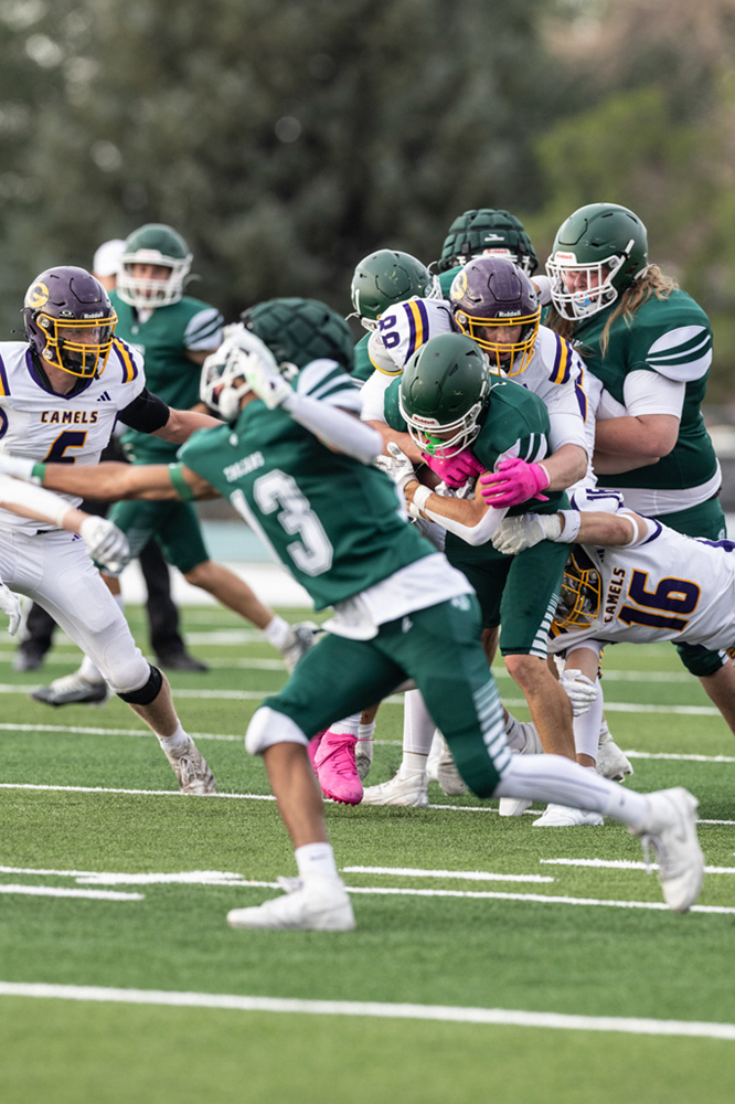 %_tempFileName1M6A5423%