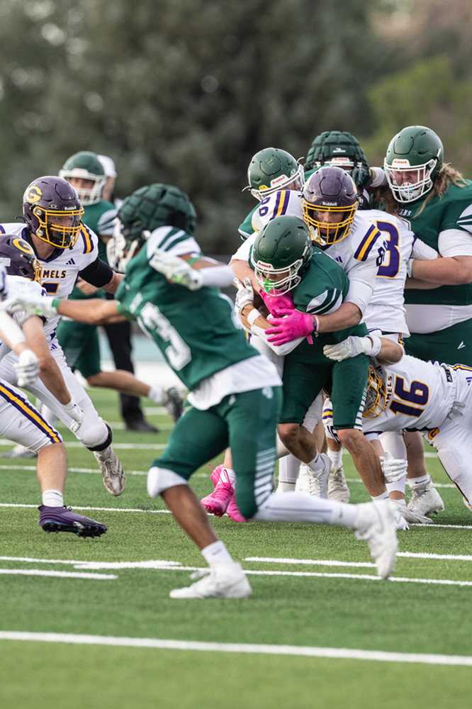 %_tempFileName1M6A5424%