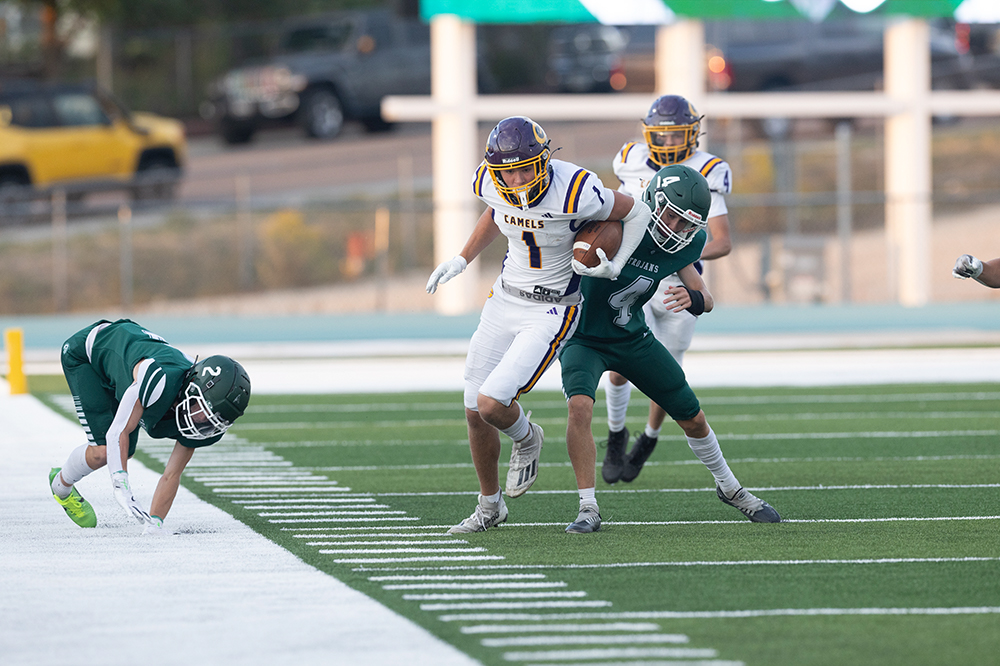 %_tempFileName1M6A6747%