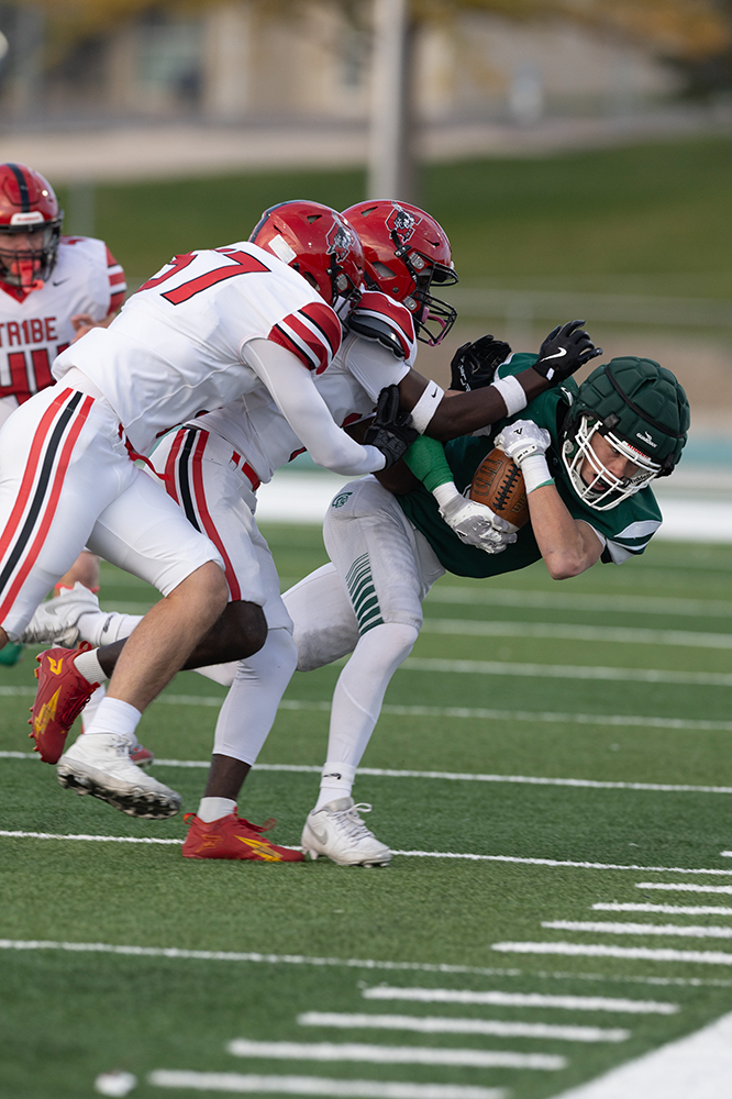 %_tempFileName1M6A3373%