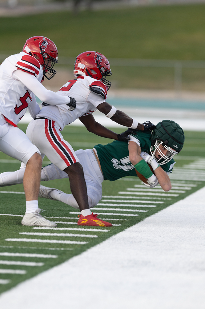 %_tempFileName1M6A3376%