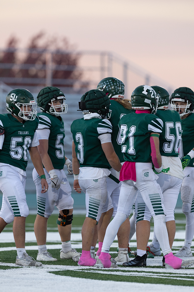 %_tempFileName1M6A3666%