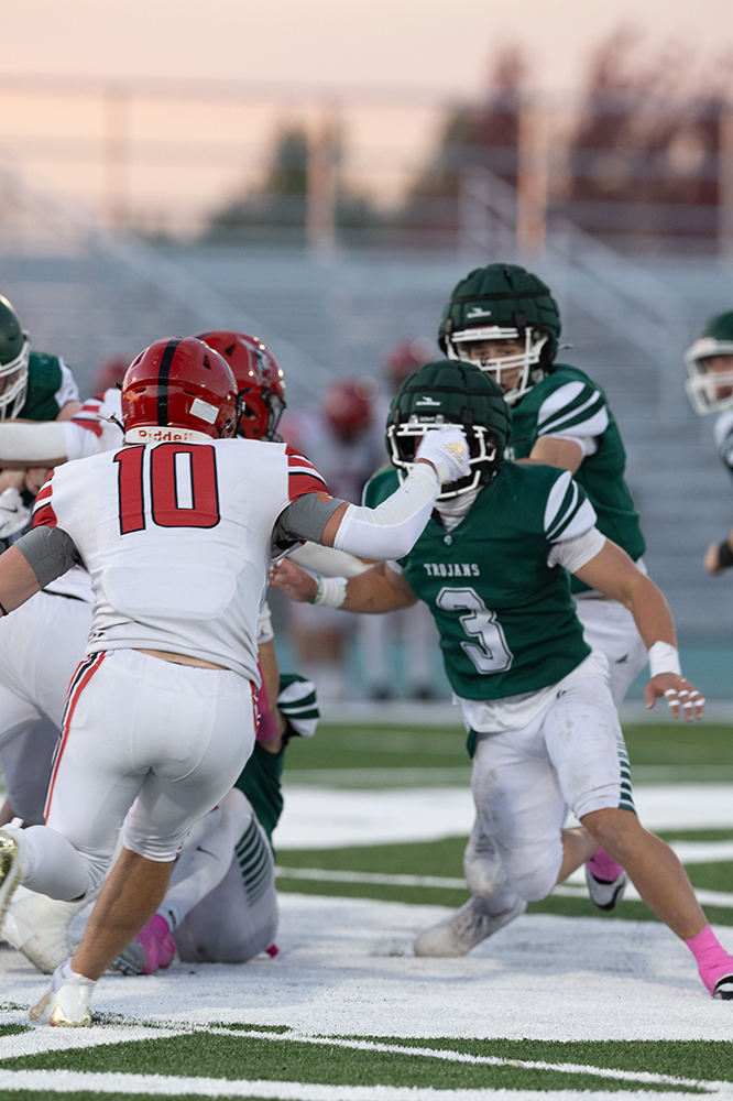 %_tempFileName1M6A3733%