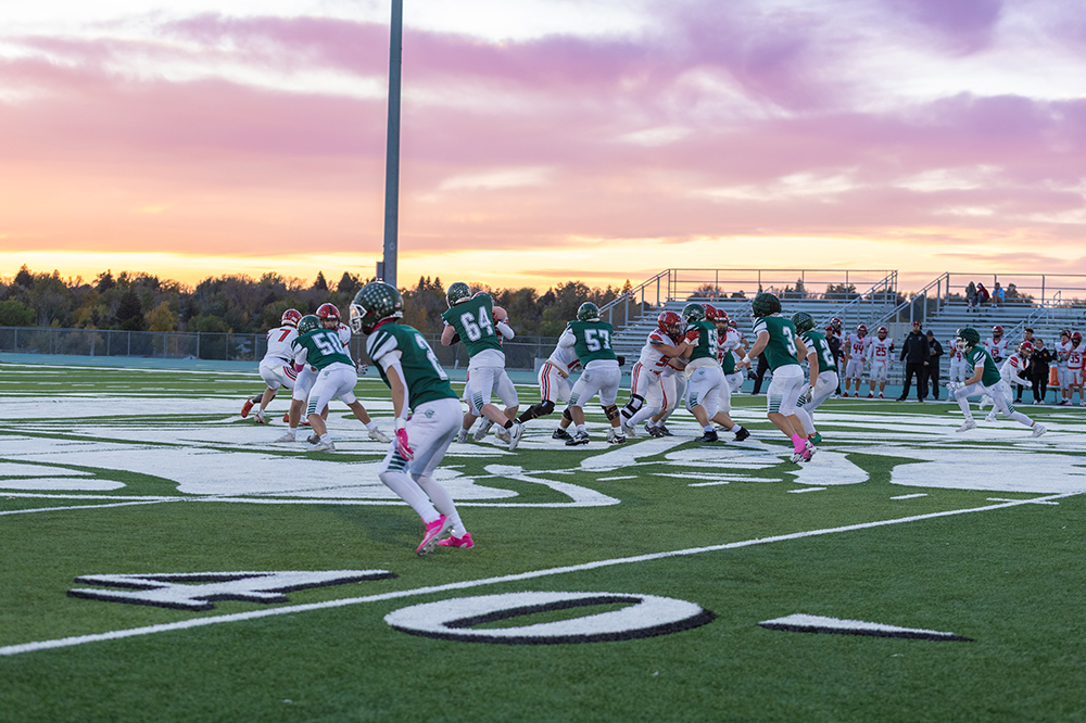 %_tempFileName1M6A3781%