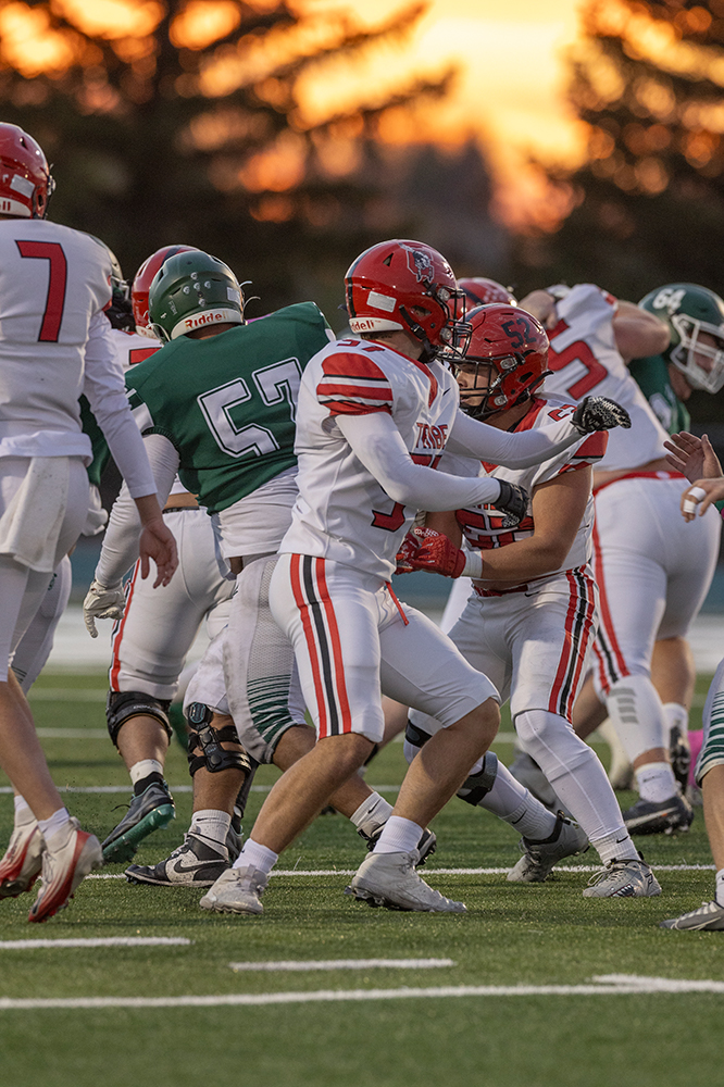 %_tempFileName1M6A3949%