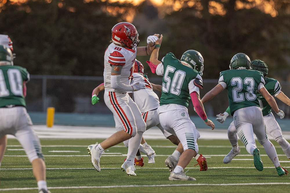 %_tempFileName1M6A3993%