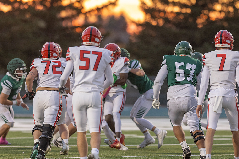 %_tempFileName1M6A4017%