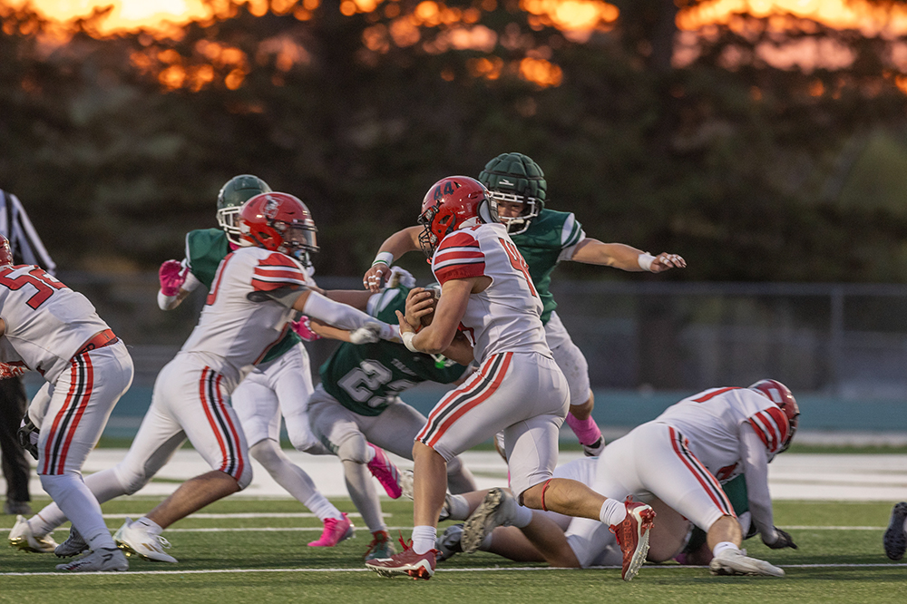 %_tempFileName1M6A4042%