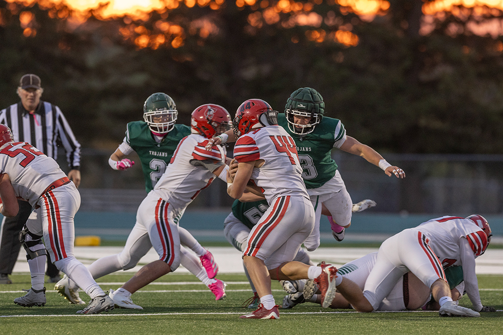 %_tempFileName1M6A4043%