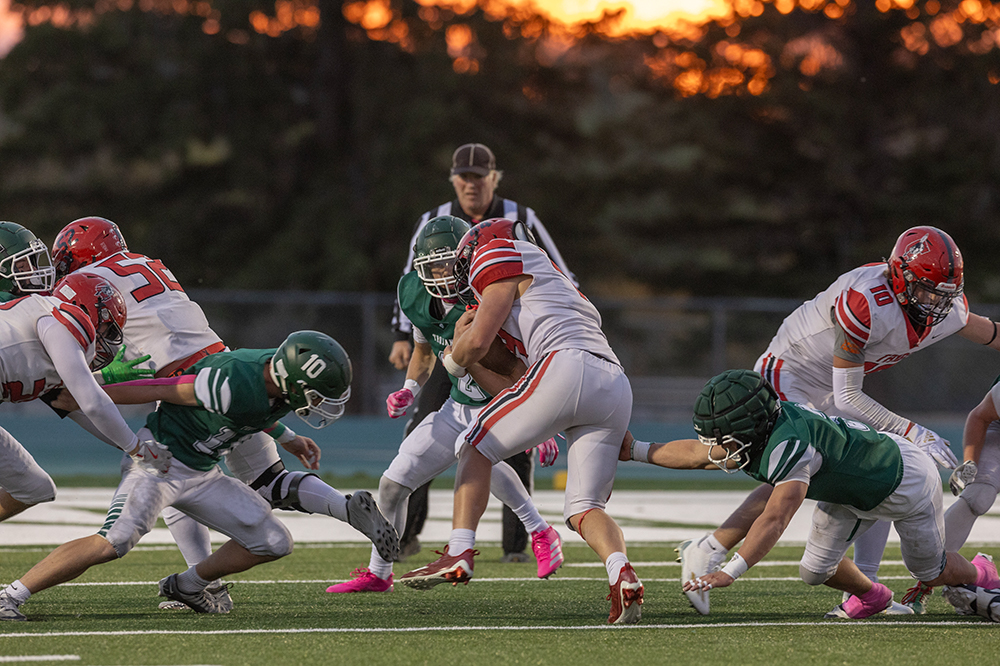 %_tempFileName1M6A4048%