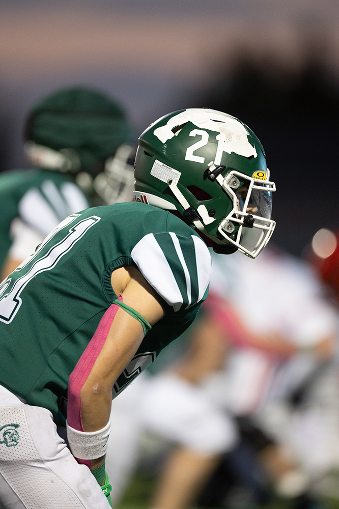 %_tempFileName1M6A4142%