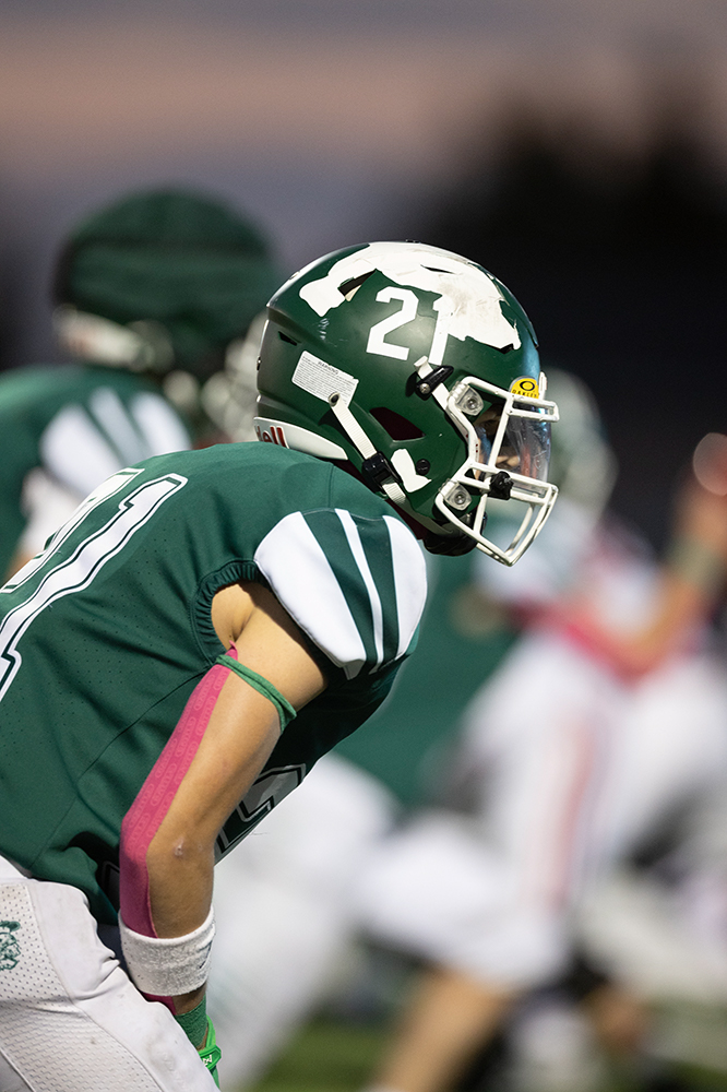 %_tempFileName1M6A4143%