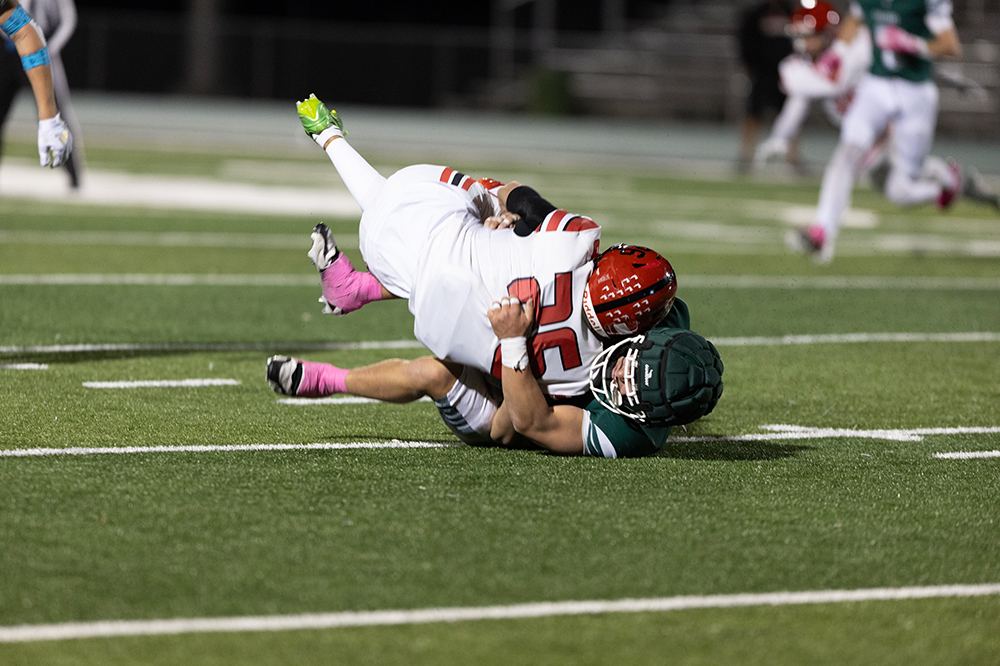 %_tempFileName1M6A4955%