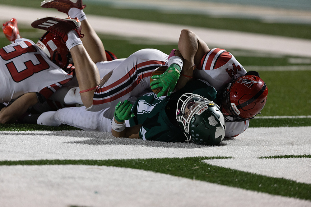 %_tempFileName1M6A5115%