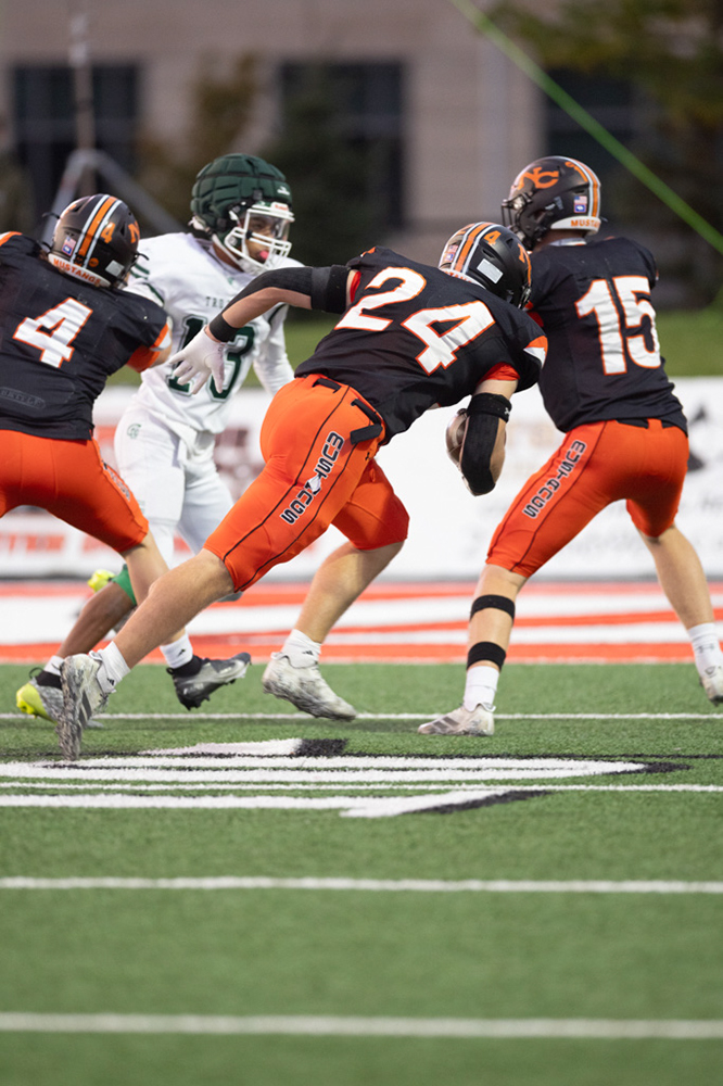 %_tempFileName1M6A0731%