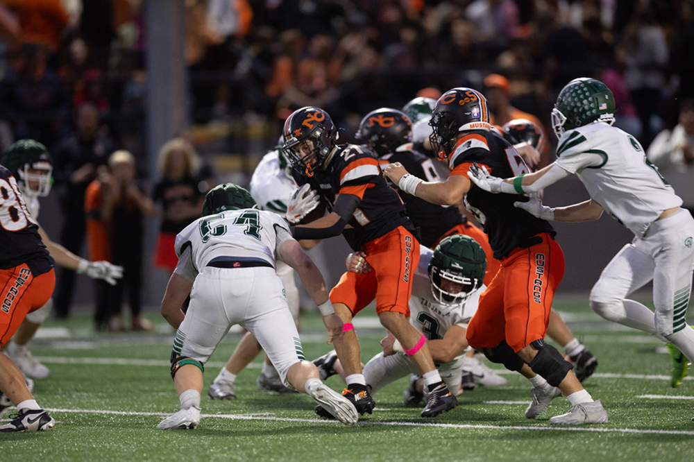 %_tempFileName1M6A1091%