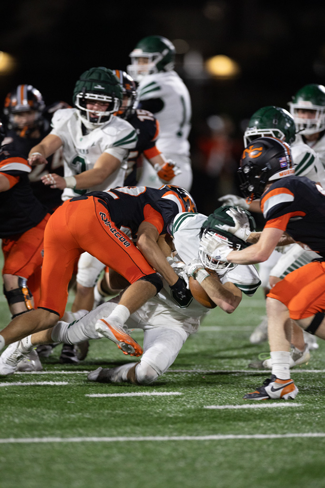 %_tempFileName1M6A1264%