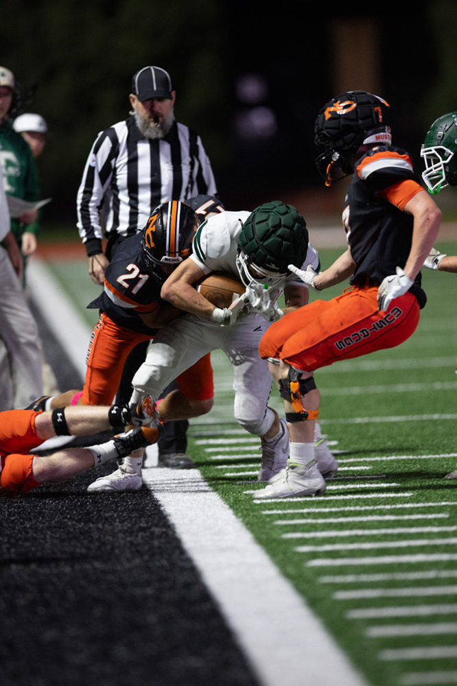 %_tempFileName1M6A1377%