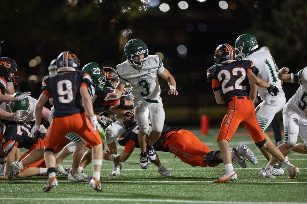 %_tempFileName1M6A1713%