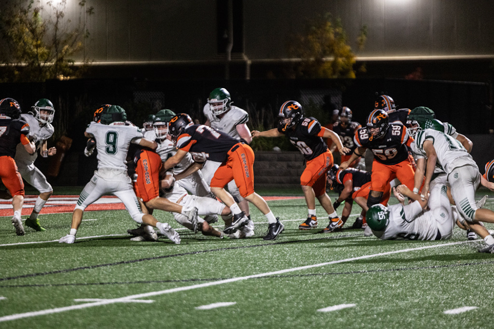 %_tempFileName1V7A1142%